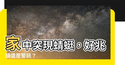 蜻蜓跑來家裡|【家裡出現蜻蜓代表什麼】家中突現蜻蜓，好兆頭還是警訊？